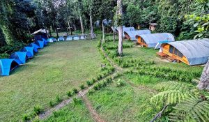 situ gunung camping