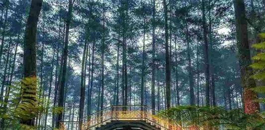 Tempat-Wisata-Hits-di-Bandung
